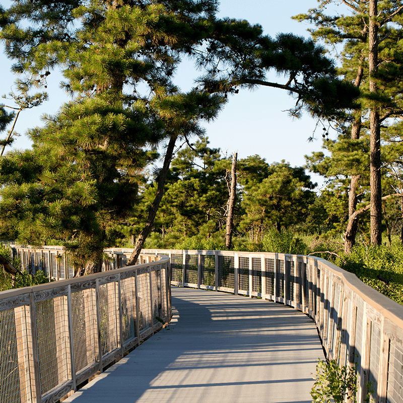 gordons pond hiking trail