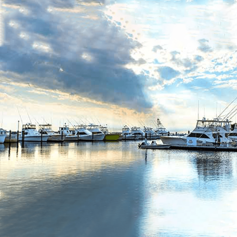 fishing charter marina